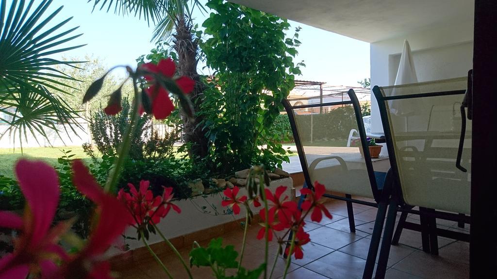 Apartment Devcic Poreč Kültér fotó